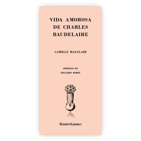 Vida amorosa de Charles Baudelaire - Camille Mauclair