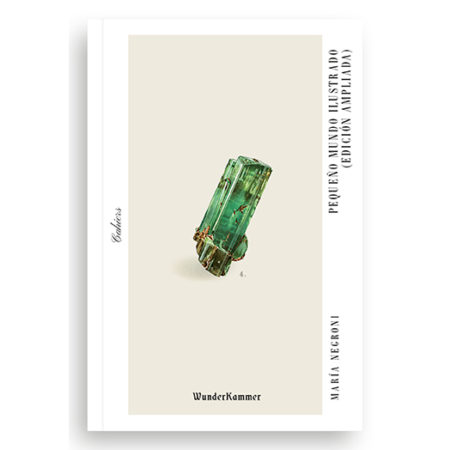 Pequeño mundo ilustrado (edición ampliada)- María Negroni